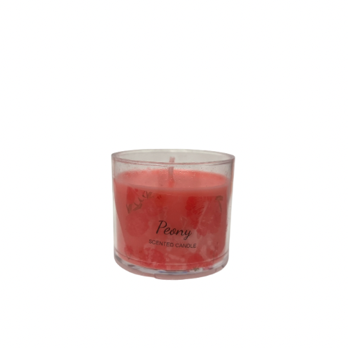 3.0 oz Soy Wax Scented Candles